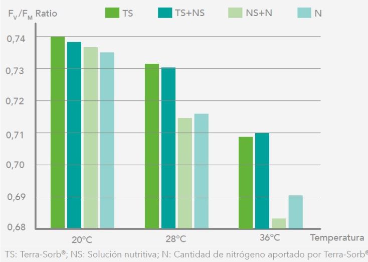 Cuadro Efectos del cambio climático