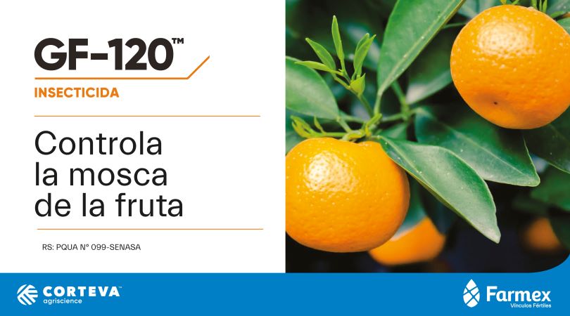 Gf-120: Frutos más sanos y libres de la mosca de la fruta