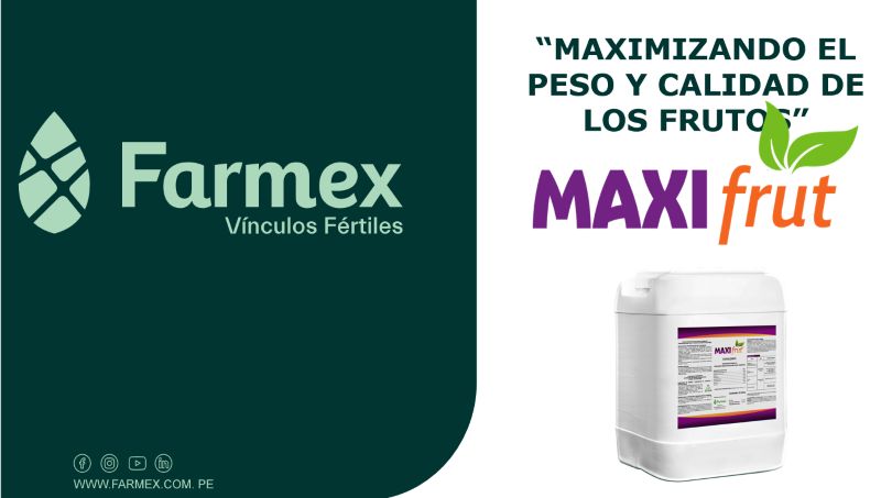 Incrementa el peso de baya con Maxifrut
