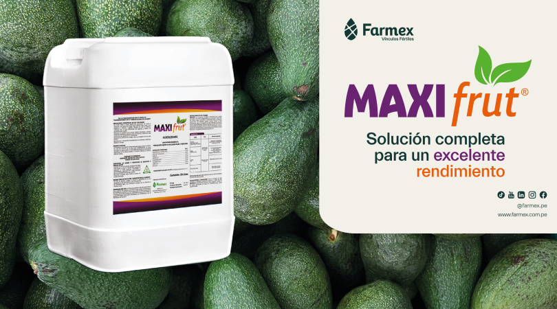 Incrementa el peso de baya con Maxifrut