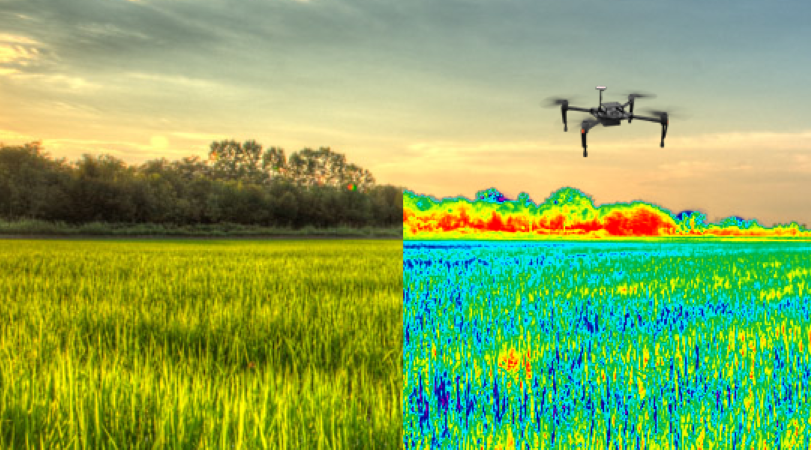 Casos de Éxito en la Implementación de Agricultura Digital para la Optimización de los Cultivos