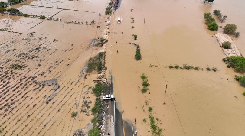 El Impacto de la Variabilidad Climática en la Incidencia de Plagas y Enfermedades en los Frutales