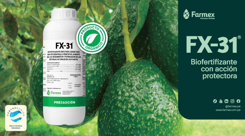 FX31: El Biofertilizante de Vanguardia con Potente Acción Bactericida y Fungicida