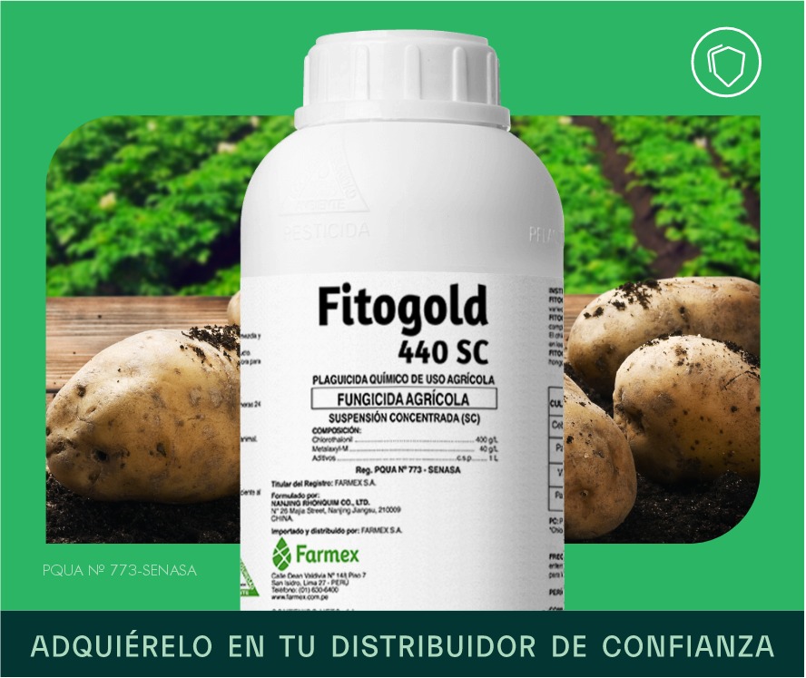 Fitogold