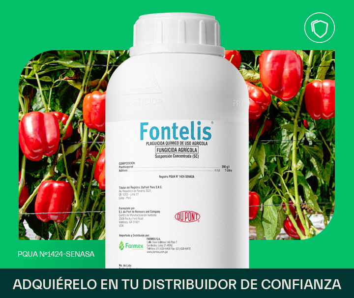 Fontelis
