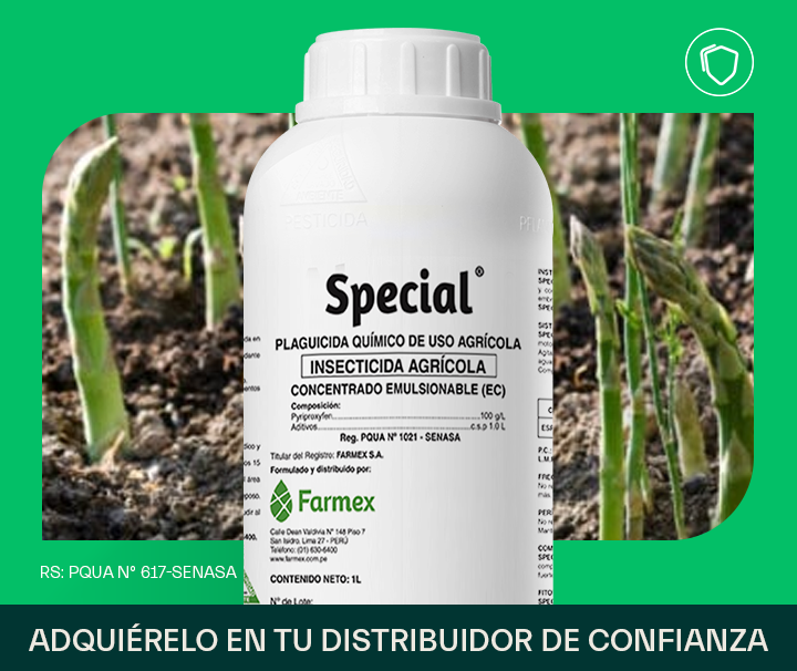 Special