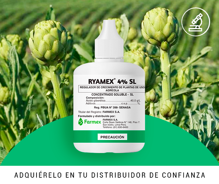 Ryamex 4% SL