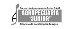Agropecuaria Junior
