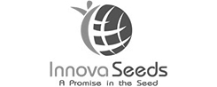 Innova Seeds