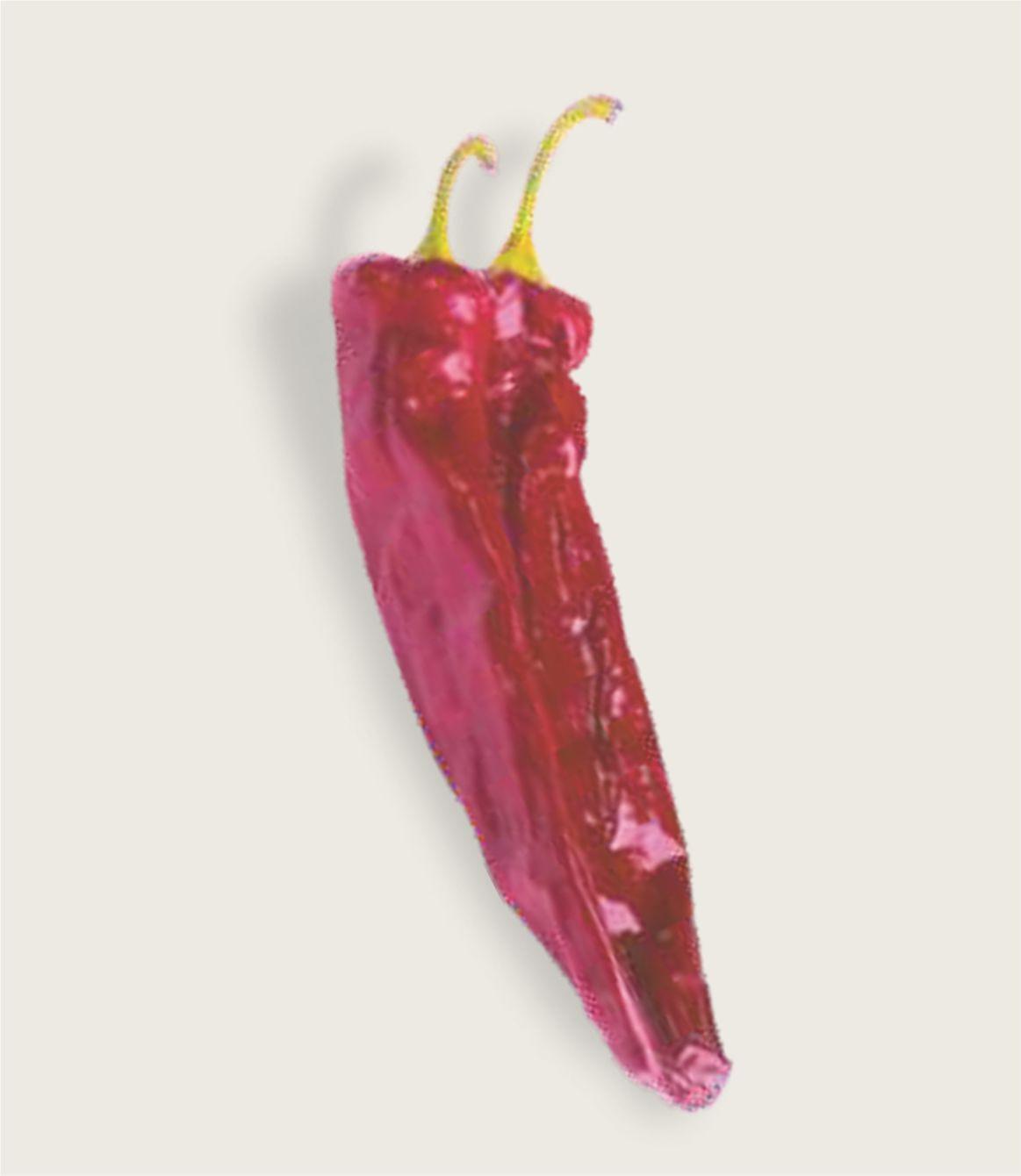 Páprika Papri King Pandia