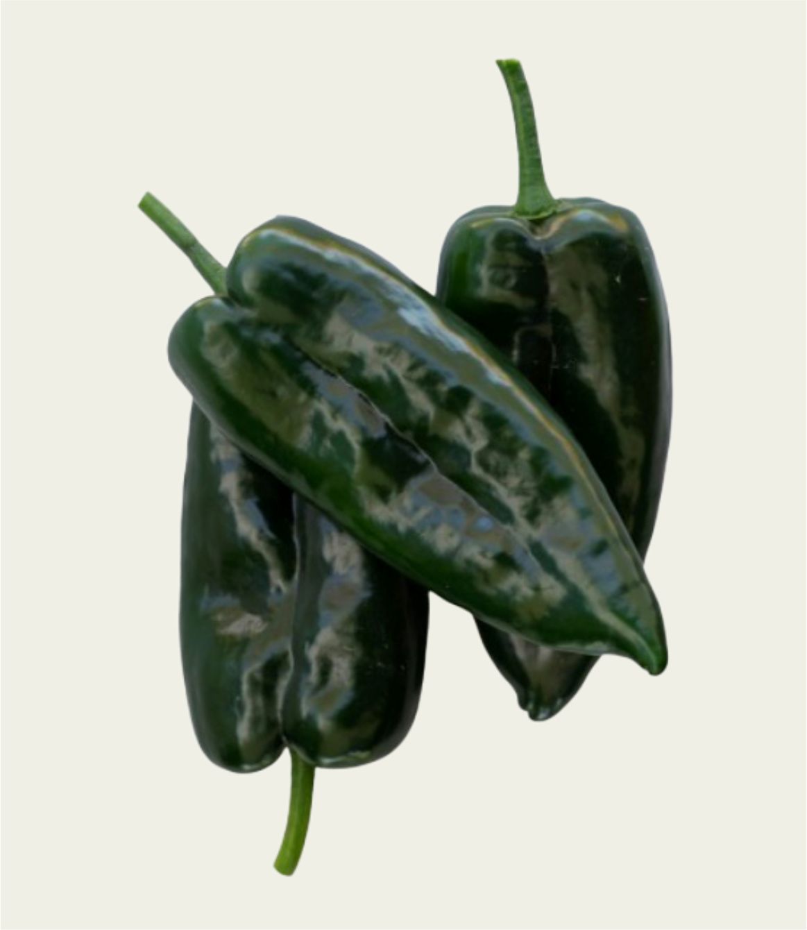 PIMIENTO DON ANTONIO F1