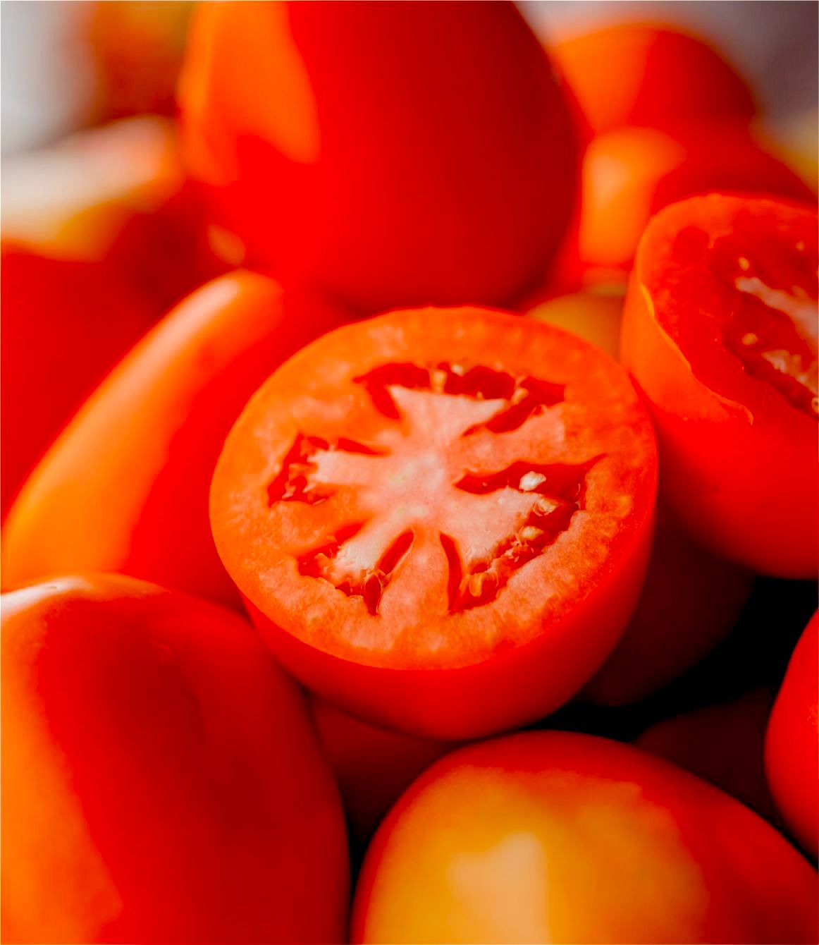 Tomate Almirante F1