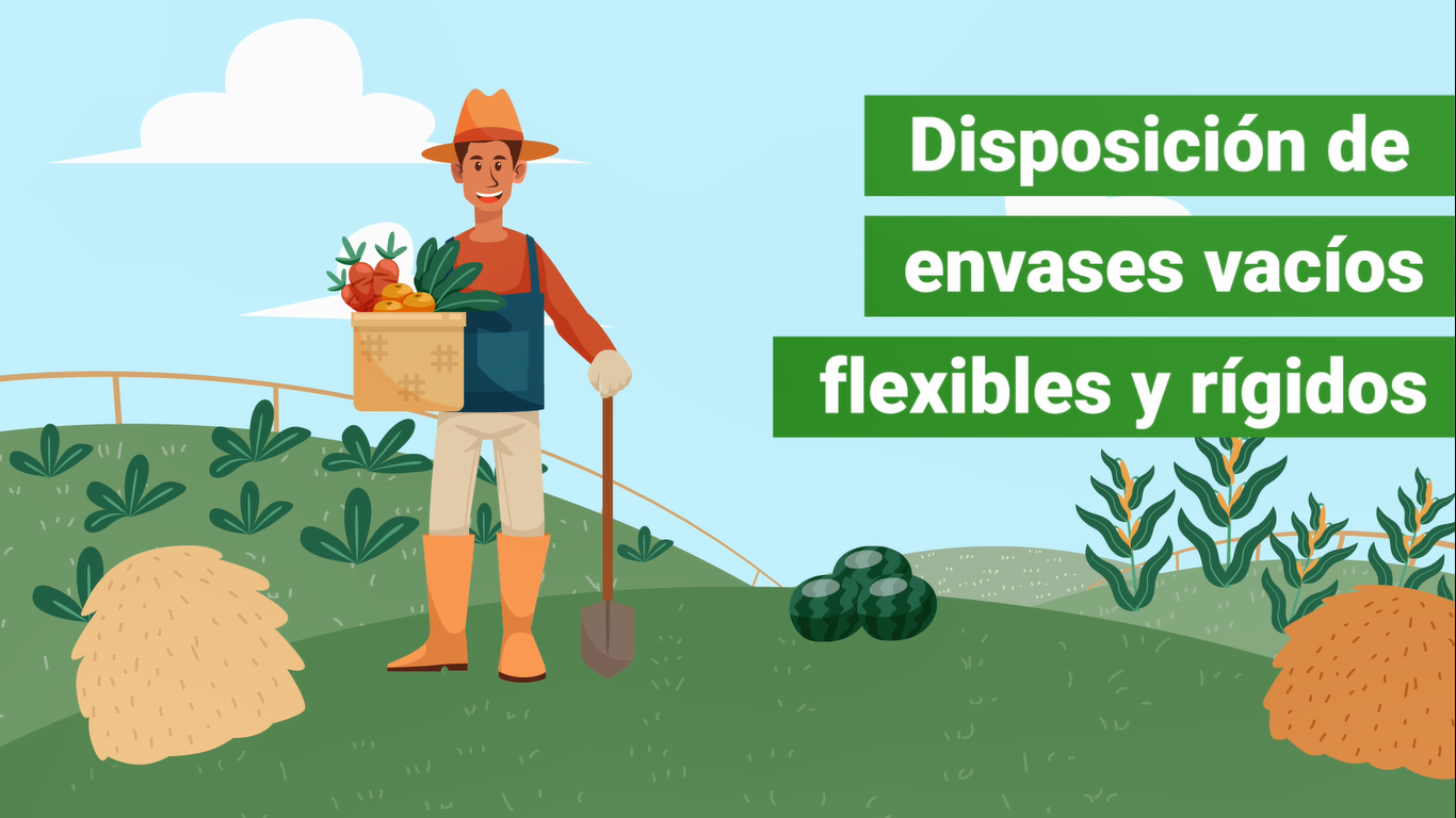 disposicion de envases vacios flexibles y rigidos