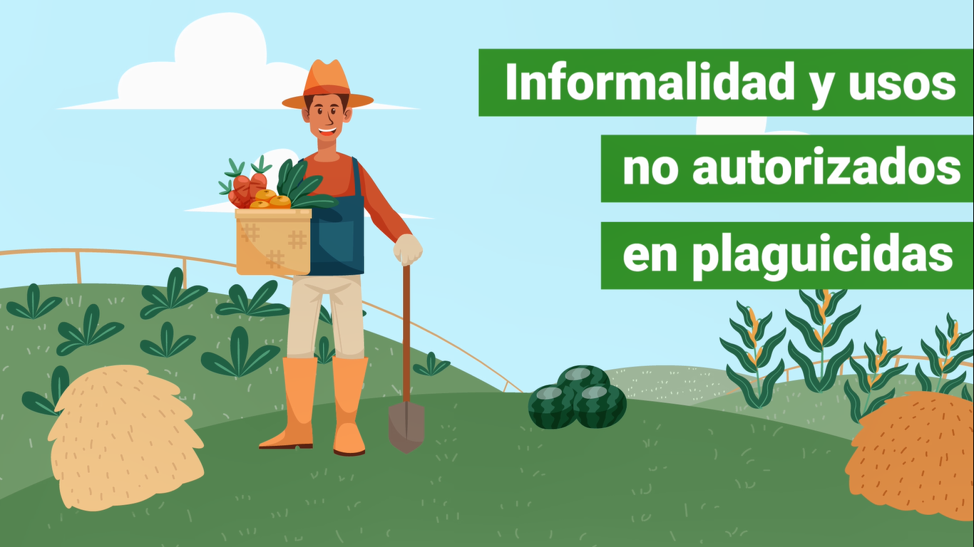 informalizad y usos no autorizados